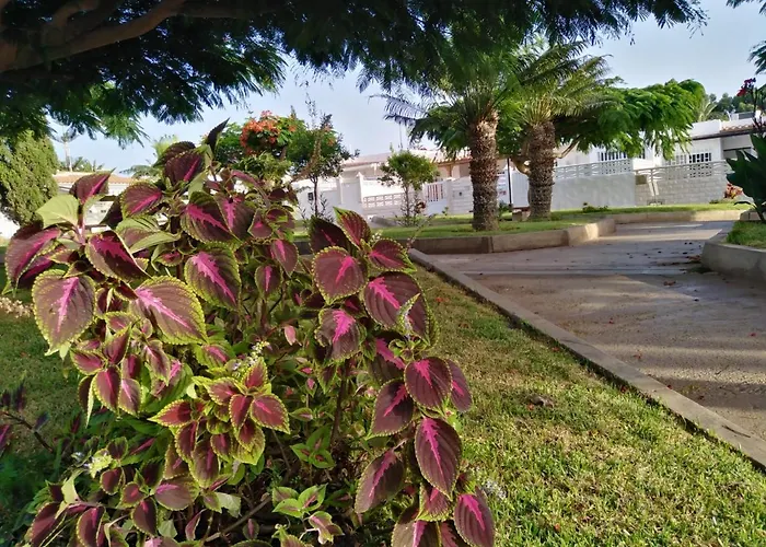 House Lilu - Luminoso Monolocale *