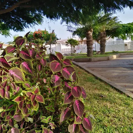 House Lilu - Luminoso Monolocale *